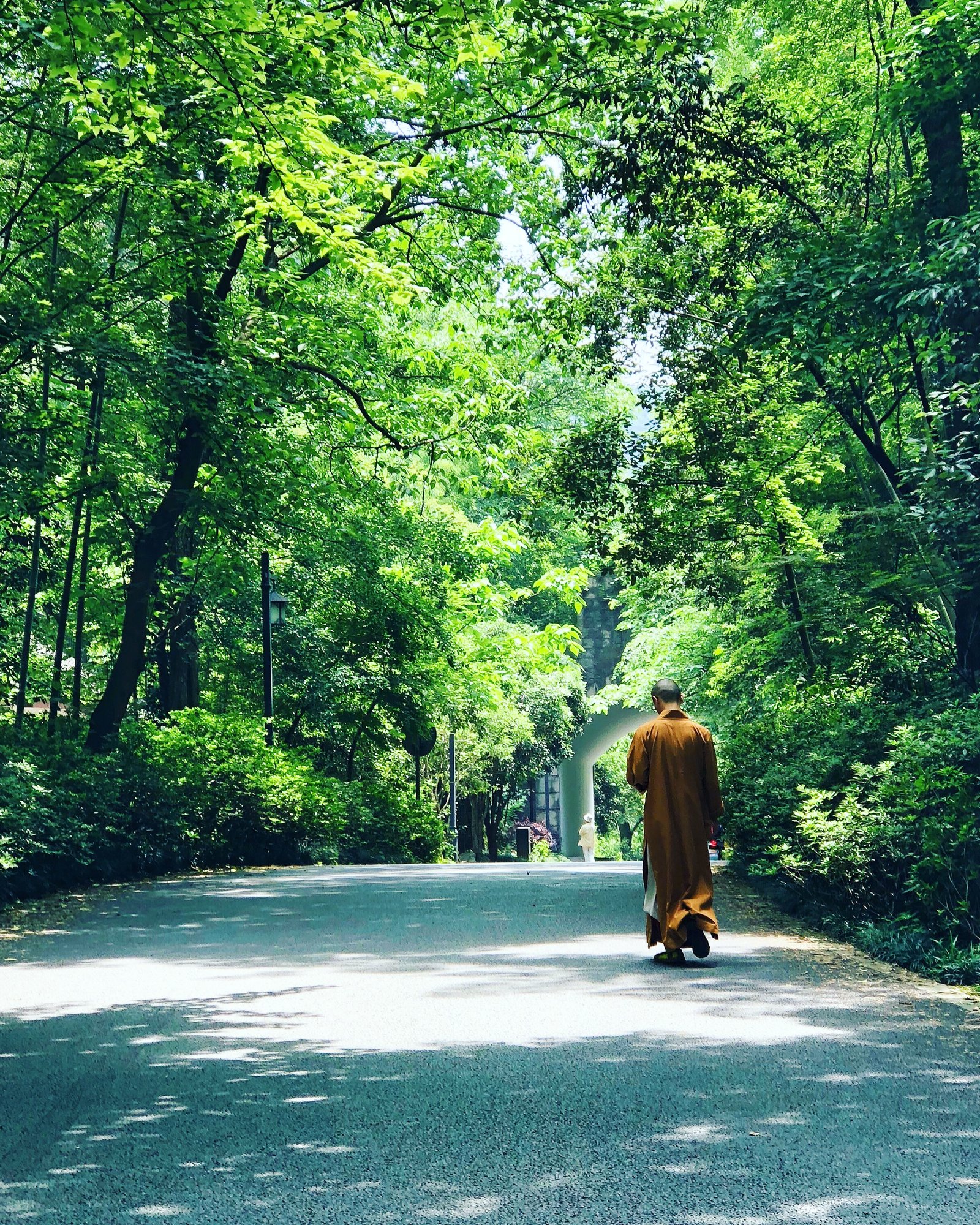 Monk walking through peaceful forest path